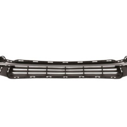 Chrysler Town & Country (11-) Grille, 24V127, 68100694AA