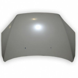 Ford Focus 2005 EU Variklio dangtis,Ford Focus 2005 kapotas,Ford Focus 2005 variklio gaubtas