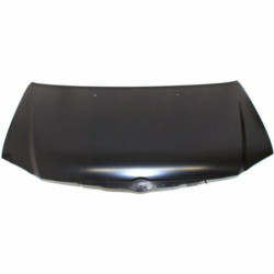 5901532628241,246003-1,4719658AD,Chrysler Pacifica 2003- 2006 Variklio dangtis,Chrysler Pacifica 2003 kapotas,Chrysler Pacifica 2003 gaubtas,Chrysler Pacifica 2003 hood,Chrysler Pacifica 2003 bonet