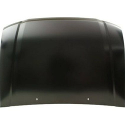 5901532208849,53301-60300,817703,Toyota Land Cruiser 2096- 2003 Variklio dangtis,Toyota Land Cruiser 2096 kapotas,Toyota Land Cruiser 2096 gaubtas,Toyota Land Cruiser 2096 hood