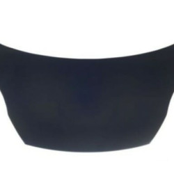 5901532591132,57A203,16079-89080,Peugeot 107 2005 Variklio dangtis,Peugeot 107 2005 kapotas,Peugeot 107 2005 variklio gaubtas