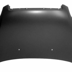 Chevrolet Aveo 2006- 2011 Variklio dangtis,Chevrolet Aveo 2006 kapotas,Chevrolet Aveo 2006 gaubtas,Chevrolet Aveo 2006 hood,250403,5901532045253,96649257