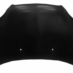 Chevrolet Aveo 2006- 2011 Variklio dangtis,Chevrolet Aveo 2006 kapotas,Chevrolet Aveo 2006 gaubtas,Chevrolet Aveo 2006 hood,251503,96888444