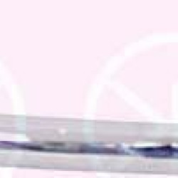 Austin 1000 (1962- 1974) Chromas,Austin 1000 (1962- 1974) chrome,38631107 (MORRIS