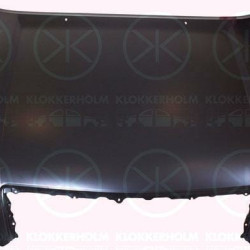 Toyota Land Cruiser J12 (2002- 2010) Variklio dangtis,53301 60470 (TOYOTA),53301-60470,817803