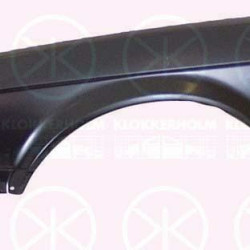 BMW 3 1982- 1987 Sparnas, BMW 3 1987 krilo,BMW 3 1982 wing,BMW 3 1982 sparnai, 41 35 1 916 233 (BMW)