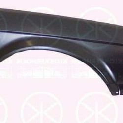 BMW 3 1982- 1987 Sparnas, BMW 3 1987 krilo,BMW 3 1982 wing,BMW 3 1982 sparnai, 41 35 1 916 234 (BMW)