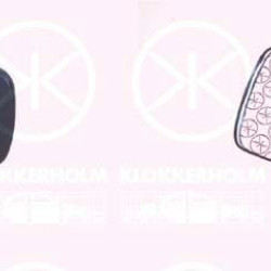 VW Golf 1 (1974- 1980) Veidrodėlis,171 857 501C (VW)