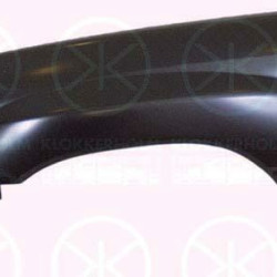 Toyota Land Cruiser J10 100 (1998- 2008) Priekinis sparnas,53812 6A192 (TOYOTA), 53812-6A120 (TOYOTA)