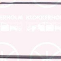 Ford Fiesta (2008- 2013) Grotelės,1 538 490 (FORD)