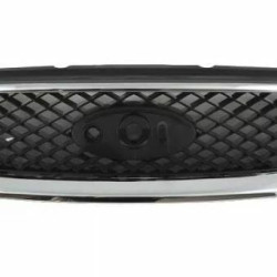 Ford Focus (2004- 2008) Grotelės,3202051J,1337961