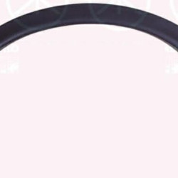 Nissan Juke (2010- 2014) Priekinis andėklas,638611KA0A (NISSAN)