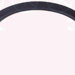 Nissan Juke (2010- 2014) Priekinis andėklas,638601KA0A (NISSAN)