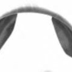 Toyota Corolla (1987- 1994) Priekinis posparnis,8109FL-1,53876-12140