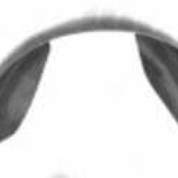 Toyota Corolla (1987- 1994) Priekinis posparnis,8109FP-1,53875-12150