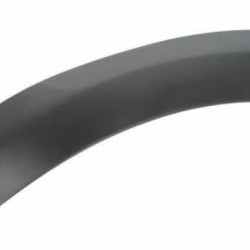 Dacia Sandero (2008- 2012) Galinis andėklas,28059616,8200-577-918