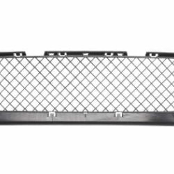 BMW 3 (1999- 2007) Grotelės (M-pack)