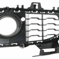 BMW 3/GT (2012-) Grotelės