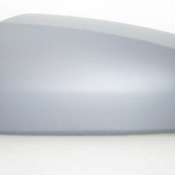 Opel Zafira B (2005- 2008) Veidrodėlio dangtelis,556154PE,13170879