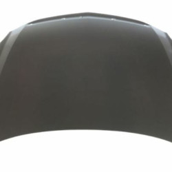 Honda City (2002- 2008) Variklio dangtis,385003,60100-SEL-T10ZZ