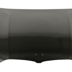 BMW 3 G20/G21 (2019-) Variklio dangtis,20D203,41008494446