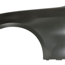 BMW 3 G20/G21 (2019-) Priekinis sparnas,20D201,41008494439