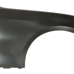 BMW 3 G20/G21 (2019-) Priekinis sparnas,20D202,41008494440