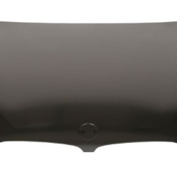 BMW 5 G30/G31 (2017- 2020) Variklio dangtis (aliuminis),41007440427,20E103-Q