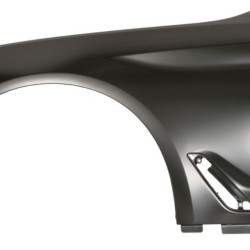 BMW 5 G30/G31 (2017- 2020) Priekinis sparnas,20E101,41007443687