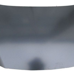 Ford Fiesta (2017-) Variklio dangtis, 2099266, 32B203, PH1BBA16610AC