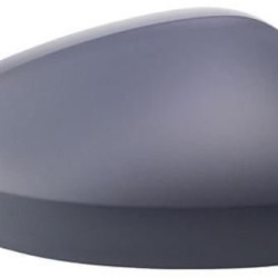 VW Tiguan (2016-) Veidrodžio dangtelis,95X255PM,5NA857538GRU