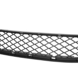 BMW X6 2008- 2014 Grotelės,205427,51117176282