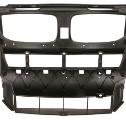BMW X6 2008- 2014 Priekinė panelė,51647192758