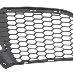 BMW X6 2010- 2014 Grotelės,B077SBQ6Z7,BM8252124,51117205577