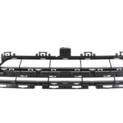 BMW 2 (2014-) Grotelės,51117293870