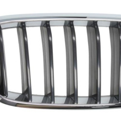 BMW X6 (2014- 2019) Grotelės,ACI 0690512,B01LDSKDNQ,BM8262003,0690512,ACI 0690512,51 13 7 294 486