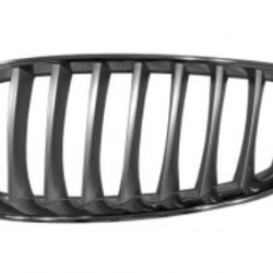 BMW Z4 (2009- ) Grotelės,203605-1,51137191509