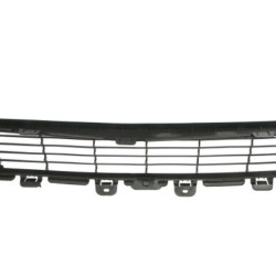 Tesla Model Y (2020-) Grotelės,149375900A