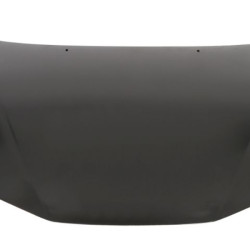 Chrysler 300M (1998- 2001) Variklio dangtis,5003100AD