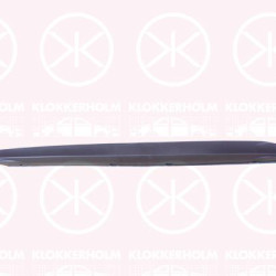 VW ID.3 (2019-) Side protection strip (left), 10A 853 855 C 9B9