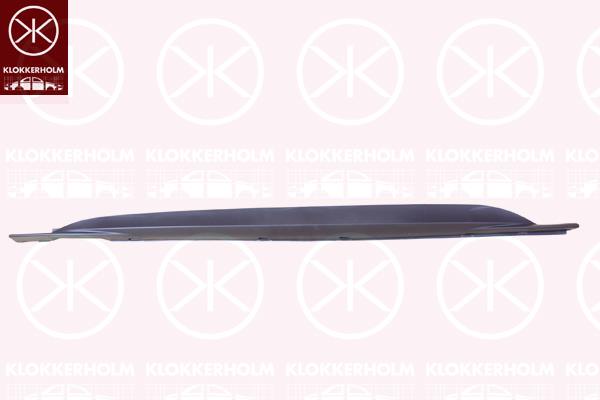 VW ID.3 (2019-) Side protection strip (right), 10A 853 856 C 9B9