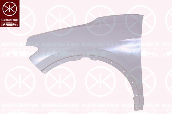 VW ID.4 (20-) Front fender (left), 11A 821 021 F (VW)