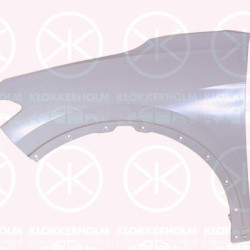 VW ID.4 (20-) Front fender (left), 11A 821 021 F (VW)