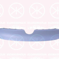 VW ID.4 (20-) Priekinės grotelės, 11A 807 185 C7A (VW)