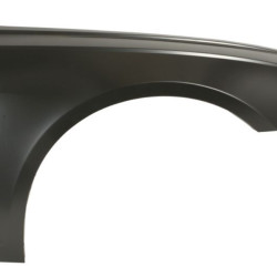 Audi A6 (18-) Priekšējais spārns (tērauds, pa labi), Audi A6 C8 (2018-) Priekinis sparnas, 4K0821106B, 13E302