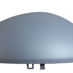 Porsche Cayenne (10-) Veidrodžio dangtelis (dešinė), 582255PM, 95873153800G2X
