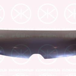 Bonnet, 651005058R (RENAULT)