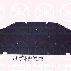 Engine Compartment Noise Insulation, Centre Section, Fitting Position: Bonnet, 51487284629 (BMW)