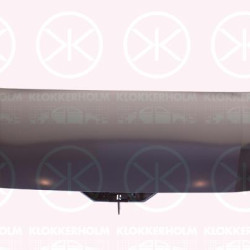 Bonnet, 2 396 397 (FORD), 2 645 539 (FORD)