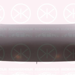 Bonnet, 53301-WB001 (MAZDA)